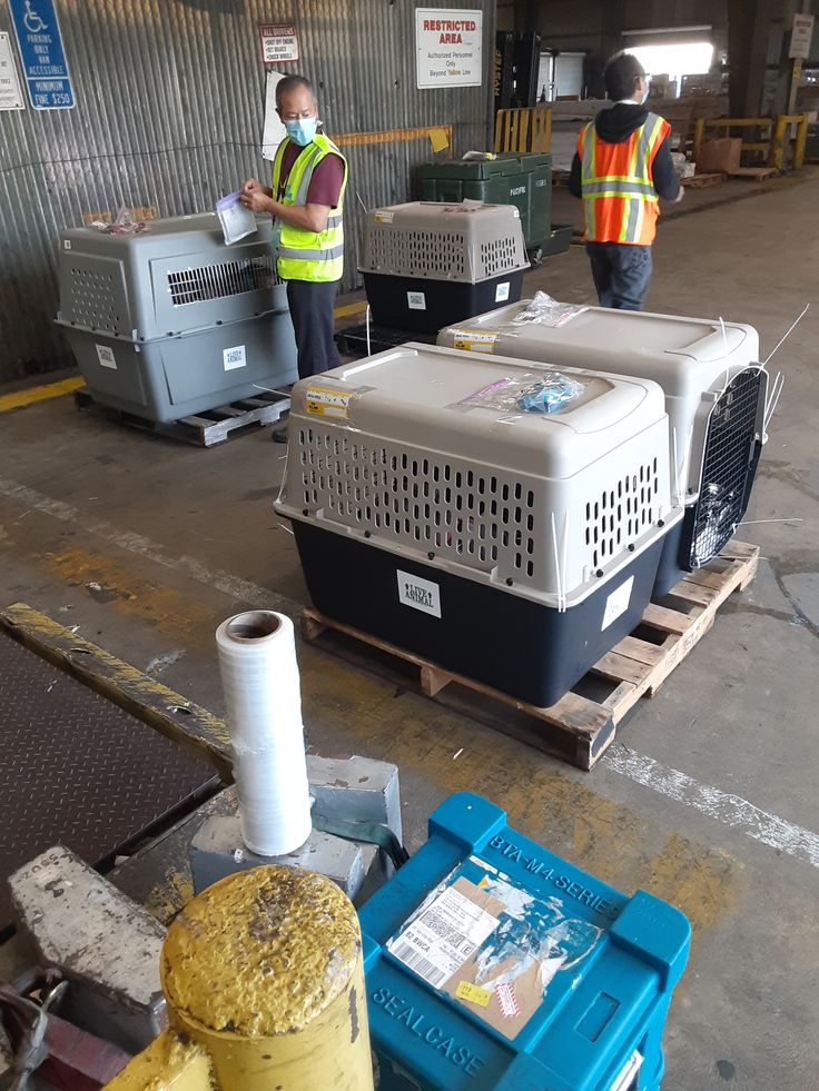 Ground Pet Transportation